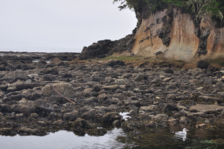 coastal cliff